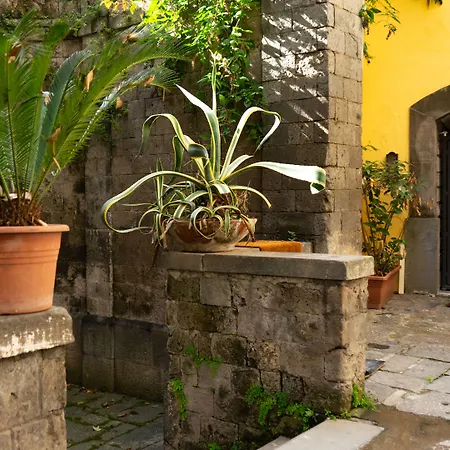 ゲストハウス Palazzo Martinelli ソレント